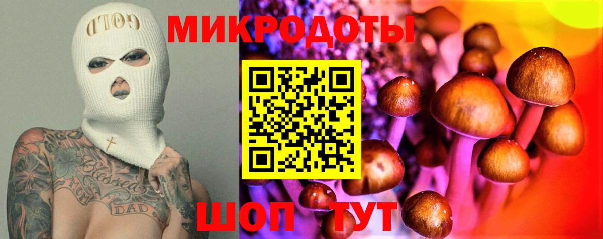 Галлюциногенные грибы прущие грибы  Вход с VPN  Ессентуки 